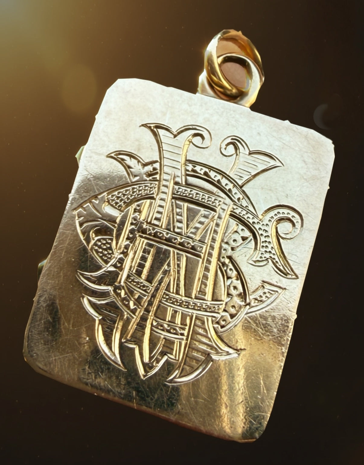 Lucky Horseshoe Locket
