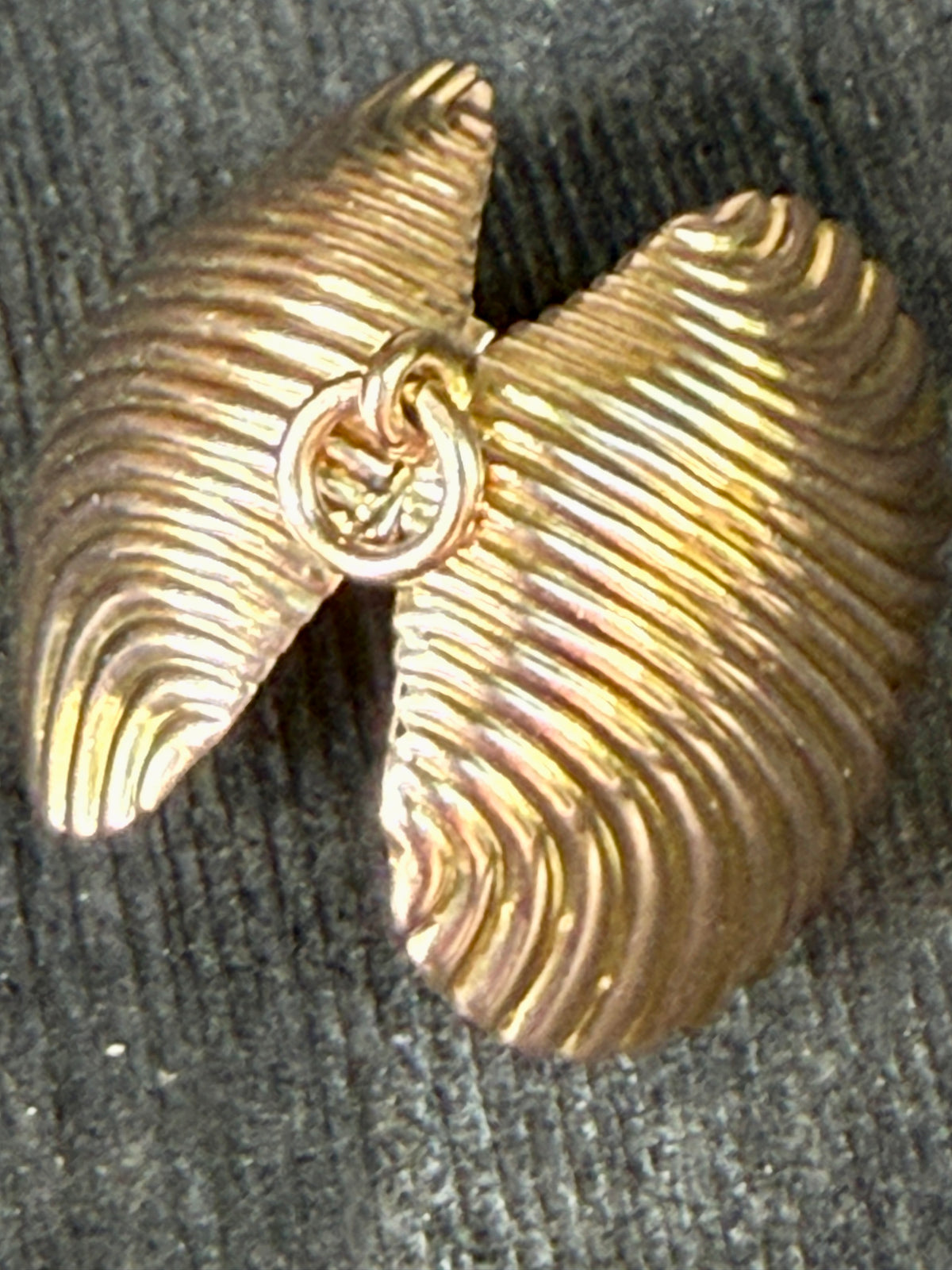 Antique Scallop Shell Pendant / Locket