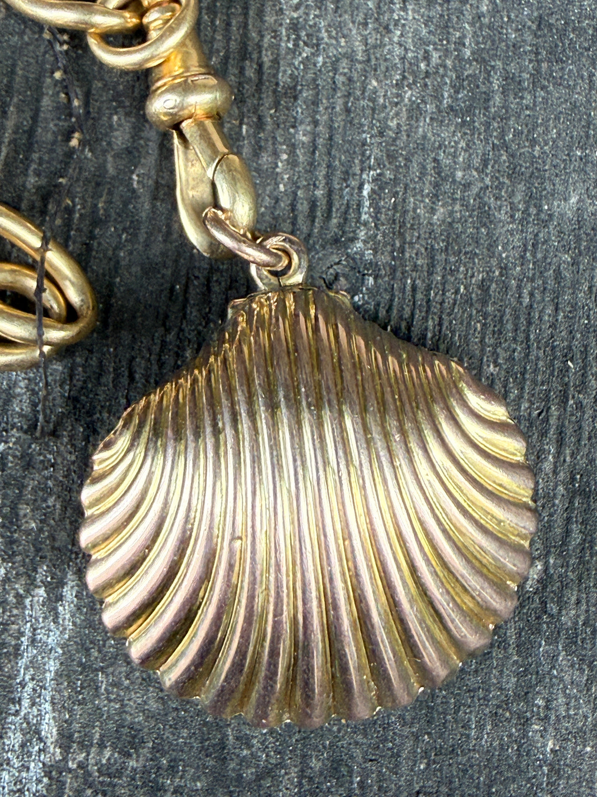 Antique Scallop Shell Pendant / Locket