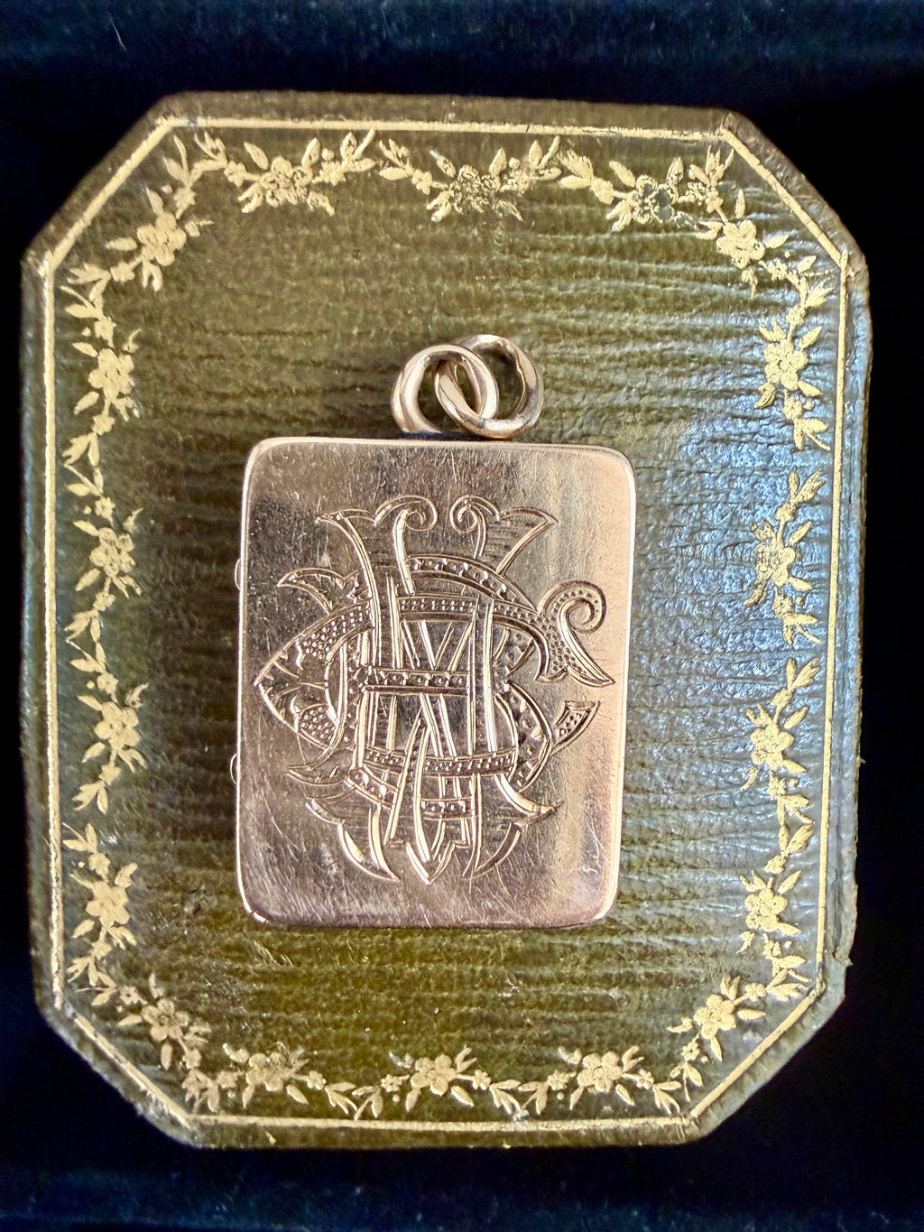 Lucky Horseshoe Locket